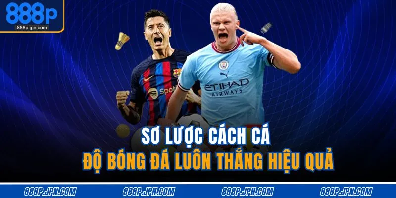 Cách Cá Độ Bóng Đá Luôn Thắng - Bí Quyết Chơi An Toàn 2 Sơ lược cách cá độ bóng đá luôn thắng hiệu quả