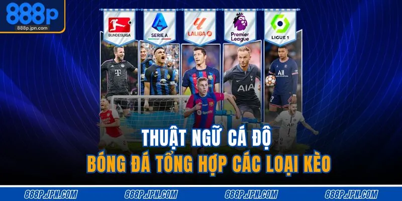 Thuật Ngữ Cá Độ Bóng Đá | Phân Tích Từ Ngữ Chuyên Môn Từ A Z 2 Thuật ngữ cá độ bóng đá tổng hợp các loại kèo